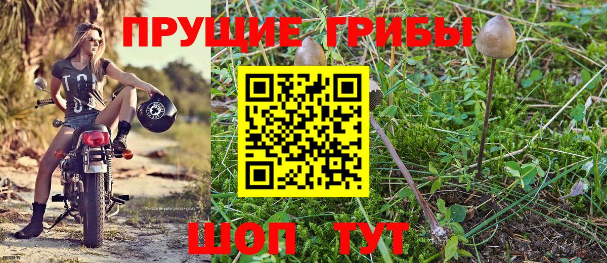 Котельники  Галлюциногенные грибы мухоморы  Вход с VPN 