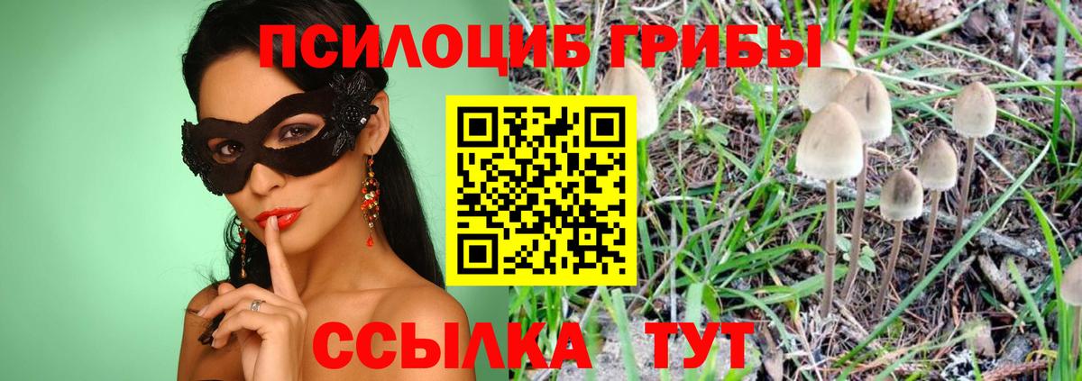 Галлюциногенные грибы Psilocybe Котельники